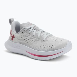 Laufschuhe Damen Under Armour Velociti 4 SE halo gray/mod gray/shaded fuchsia