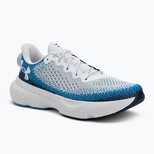 Laufschuhe Herren Under Armour Infinite white/electric blue/white