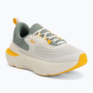 Herren-Laufschuhe Under Armour Infinite Elite 2 stone/silica green/campus gold