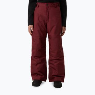 Skihose Kinder The North Face Freedom Insulated sumac