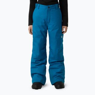 Skihose Kinder The North Face Freedom Insulated dusk blue