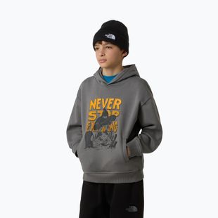 Hoodie Sweatshirt Kinder The North Face Sports Oversized Hoodie Graphic smoked pearl