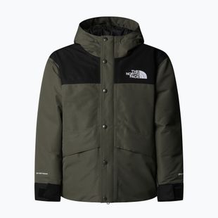 Regenjacke Kinder The North Face Mountain Down new taupe green