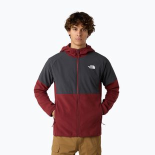 Hoodie Sweatshirt Herren The North Face Glacier Heavyweight Full Zip HD sumac/asphalt grey