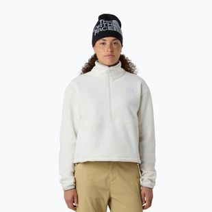 Hoodie Sweatshirt Damen The North Face Glacier Fleece 1/2 Zip Short white dune