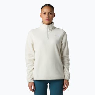Fleece Hoodie Sweatshirt Damen The North Face Glacier Fleece 1/4 Zip white dune