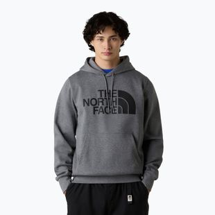 Hoodie Sweatshirt Herren The North Face Easy Hoodie medium grey heather