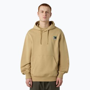 Hoodie Sweatshirt Herren The North Face Mountain Logo Relaxed Hooded khaki stone