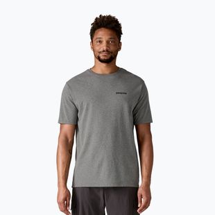 Patagonia Herren Fitz Roy Icon Responsibili-Tee kiesiges Heidekraut T-shirt