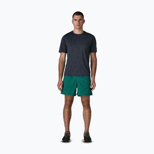 Herrenshorts Patagonia Baggies 5" 95 oval logo/gem green