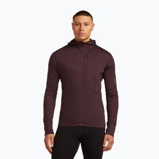 Trekking Hoodie Sweatshirt Herren icebreaker Merino 200 RealFleece Descender Zip Hoodie java