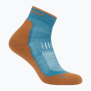 Socken Herren Icebreaker Merino Hike+ Light Mini topaz/trail