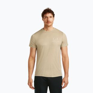Herren T-Shirt icebreaker Merino 150 Tech Lite Peaceful Pass Tee flagstone