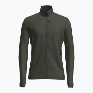 Herren-Trekkingsweatshirt Icebreaker Merino 260 Quantum IV LS Zip dark loden