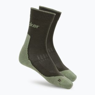 Herrensocken icebreaker Merino Hike+ Light Crew dark loden/lichen