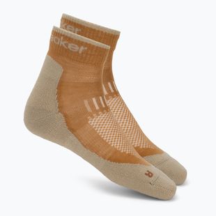Herrensocken Icebreaker Merino Hike+ Light Mini trail/flagstone