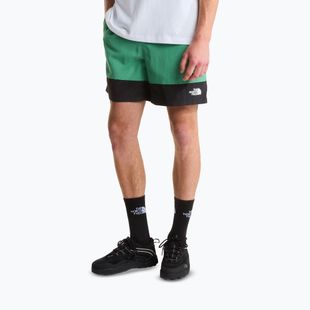 Herren-Trekkingshorts The North Face Leynar dimmed algae/tnf black