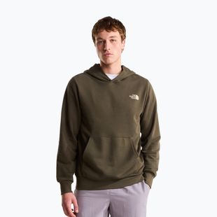 Herrenpullover The North Face Monte Regular Hoodie Graphic new taupe green