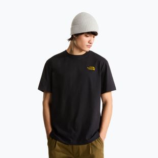 Herren-Shirt The North Face Apex '75 Collage Relaxed Hoodie Tnf Black