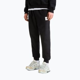 Herrenhose The North Face Evo Box Half Dome Regular Tappered tnf black