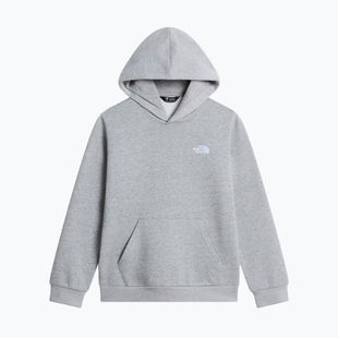 Kinder-Sweatshirt The North Face Evolution Simple Dome Pullover Hood tnf pale grey heather