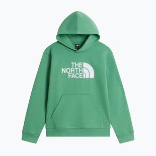 Kinder-Sweatshirt The Noryh Face Essential Drew Peak Hoodie dimmed algae