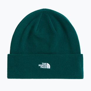 Wintermütze The North Face Norm Beanie hunter green