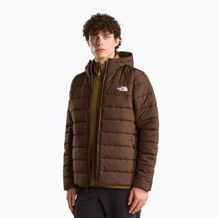 Gefütterte Herrenjacke The North Face Aconcalgia Hooded dark chestnut