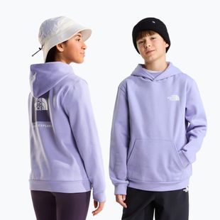 Kinder-Sweatshirt The North Face Evolution Box NSE Pullover Hoodies pale plum