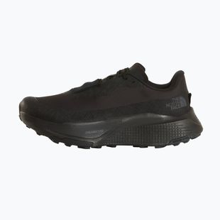Herren-Laufschuhe Buty The North Face Altamesa 500V2 GTX tnf black/tnf black