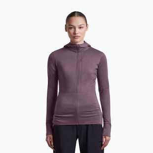Damen-Trekkingsweatshirt Icebreaker Merino 200 Realfleece Descender Half Zip Hoodie grey plum