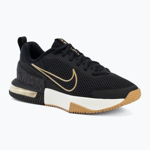 Herren-Trainingsschuhe Nike Air Max Alpha Trainer 6 black/sail/parachute beige