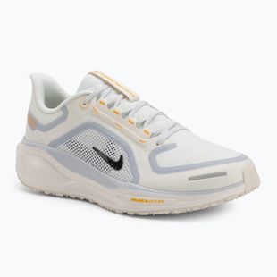 Herren-Laufschuhe Nike Pegasus 41 GTX sail/football grey/sundial/ashen slate