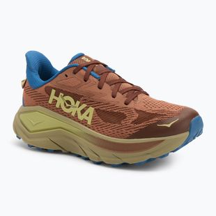 HOKA Challenger 8 Herren Laufschuhe maple/cardamon