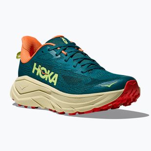 Damen Laufschuhe HOKA Challenger 8 tidal wave/pampas grass