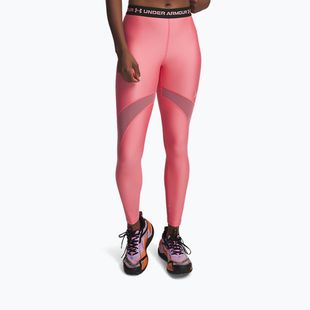Herren Trainingsleggings Under Armour HeatGear Mesh bittersweet pink/posh pink