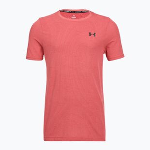 Herren Training-T-Shirt Under Armour Vanish Seamless Novelty bittersweet pink/black