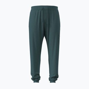 Herrenhose Under Armour Rival LW Graphic Jogger rack green/black