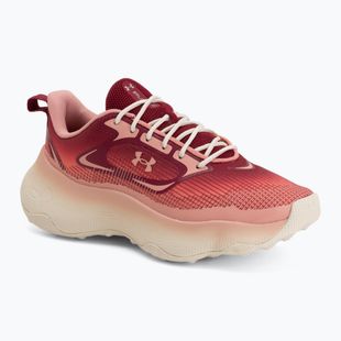 Damen Trainingsschuhe Under Armour Pulse claret/posh pink/posh pink