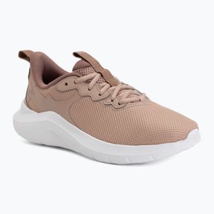 Laufschuhe für Damen Under Armour Phade RN 4 bashful pink/deep almond/apex pink