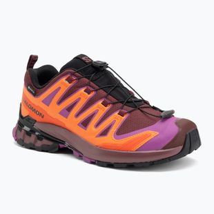 Laufschuhe Damen Salomon XA Pro 3D V9 GTX tawnyp/redora