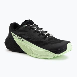 Herren-Laufschuhe Salomon Pulsar black/black/patina green