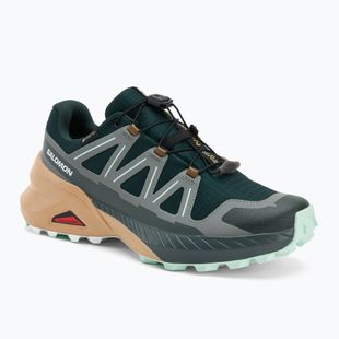 Damen Laufschuhe Salomon Speedcross Peak GTX scarab/soft clay/bay