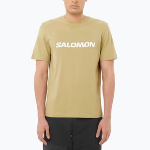 Herren T-Shirt Salomon Logo grau grün