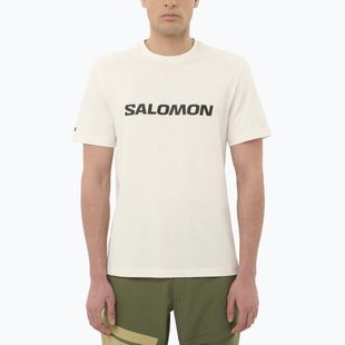 Herren T-Shirt Salomon Logo whisper white