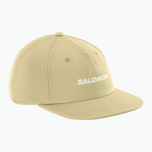 Salomon Logo Flat Cap grau-grün