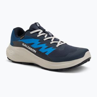 Herren-Laufschuhe Salomon Alphaglide GTX blue night/lunar rock/french blue
