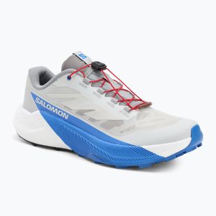 Herren-Laufschuhe Salomon Pulsar lunar rock/weiß/französisch blau