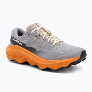 Herren-Laufschuhe Salomon Ultra Flow 2 GTX gull/turmeric/white pepper