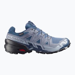 Herren-Laufschuhe Salomon Speedcross 6 GTX spellbound/black